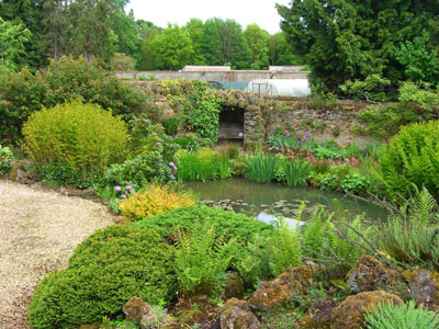 East garden pond